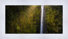 Load image into Gallery viewer, Akaka Falls Aloha