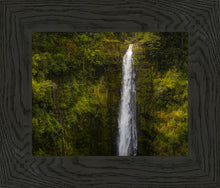 Load image into Gallery viewer, Akaka Falls, Hawaii