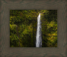 Load image into Gallery viewer, Akaka Falls, Hawaii