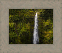 Load image into Gallery viewer, Akaka Falls, Hawaii