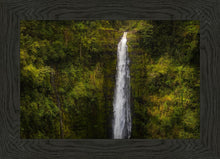 Load image into Gallery viewer, Akaka Falls, Hawaii