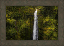 Load image into Gallery viewer, Akaka Falls, Hawaii