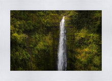 Load image into Gallery viewer, Akaka Falls, Hawaii