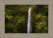 Load image into Gallery viewer, Akaka Falls, Hawaii