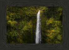 Load image into Gallery viewer, Akaka Falls, Hawaii
