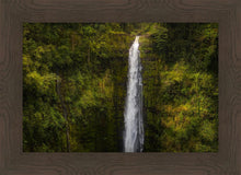 Load image into Gallery viewer, Akaka Falls, Hawaii