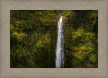 Load image into Gallery viewer, Akaka Falls, Hawaii