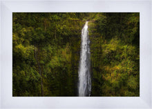 Load image into Gallery viewer, Akaka Falls, Hawaii