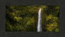 Load image into Gallery viewer, Akaka Falls, Hawaii