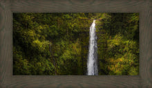 Load image into Gallery viewer, Akaka Falls, Hawaii