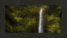 Load image into Gallery viewer, Akaka Falls, Hawaii