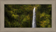 Load image into Gallery viewer, Akaka Falls, Hawaii