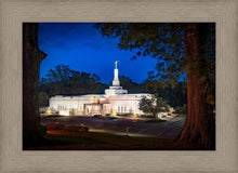 Load image into Gallery viewer, Baton Rouge and the Louisiana Blues