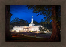 Load image into Gallery viewer, Baton Rouge and the Louisiana Blues