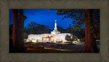 Load image into Gallery viewer, Baton Rouge and the Louisiana Blues
