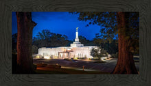 Load image into Gallery viewer, Baton Rouge and the Louisiana Blues