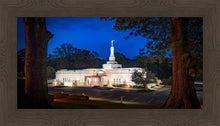 Load image into Gallery viewer, Baton Rouge and the Louisiana Blues