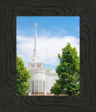 Load image into Gallery viewer, Billings Side