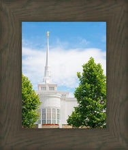 Load image into Gallery viewer, Billings Side