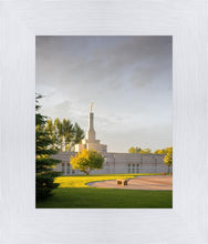 Load image into Gallery viewer, Bismarck Golden Glow