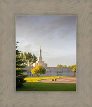 Load image into Gallery viewer, Bismarck Golden Glow