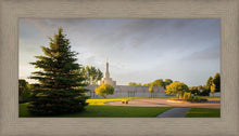 Load image into Gallery viewer, Bismarck Golden Glow