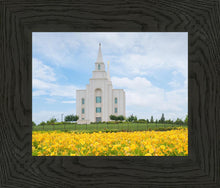Load image into Gallery viewer, Blue and Gold Kansas City