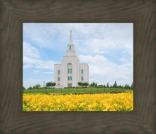 Load image into Gallery viewer, Blue and Gold Kansas City