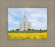 Load image into Gallery viewer, Blue and Gold Kansas City