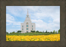 Load image into Gallery viewer, Blue and Gold Kansas City