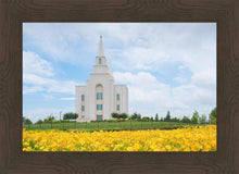 Load image into Gallery viewer, Blue and Gold Kansas City