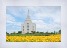 Load image into Gallery viewer, Blue and Gold Kansas City
