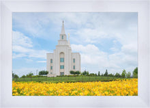Load image into Gallery viewer, Blue and Gold Kansas City