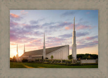 Load image into Gallery viewer, Boise Springtime