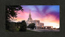 Load image into Gallery viewer, Bountiful Light