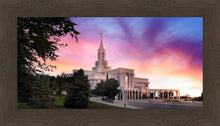 Load image into Gallery viewer, Bountiful Light