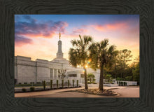 Load image into Gallery viewer, Columbia Palmetto Sunset