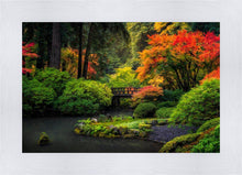 Load image into Gallery viewer, Garden Bridge