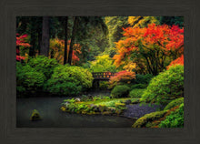 Load image into Gallery viewer, Garden Bridge