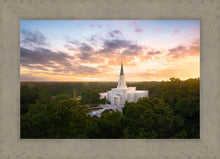 Load image into Gallery viewer, Houston from on High