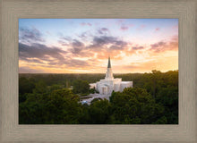 Load image into Gallery viewer, Houston from on High