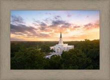 Load image into Gallery viewer, Houston from on High