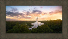 Load image into Gallery viewer, Houston from on High