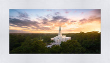 Load image into Gallery viewer, Houston from on High