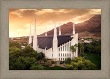 Load image into Gallery viewer, Las Vegas Desert Oasis Aerial