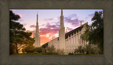 Load image into Gallery viewer, Las Vegas Desert Rose