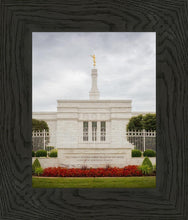 Load image into Gallery viewer, Louisville Day