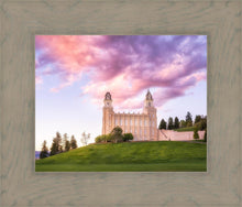 Load image into Gallery viewer, Manti Cotton Candy