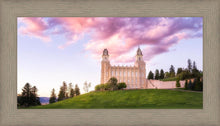Load image into Gallery viewer, Manti Cotton Candy