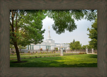 Load image into Gallery viewer, Medford Daydream